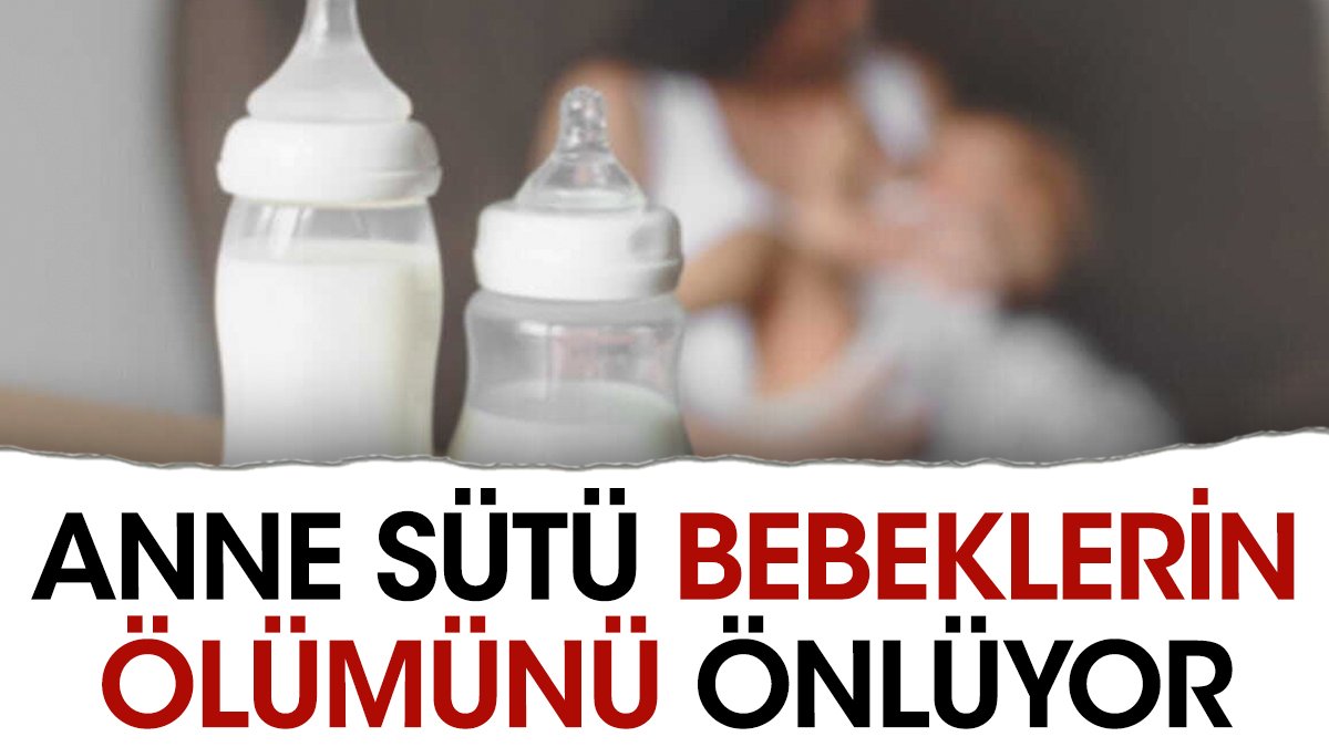 Anne sütü bebeklerin ölümünü önlüyor. Profesör açıkladı