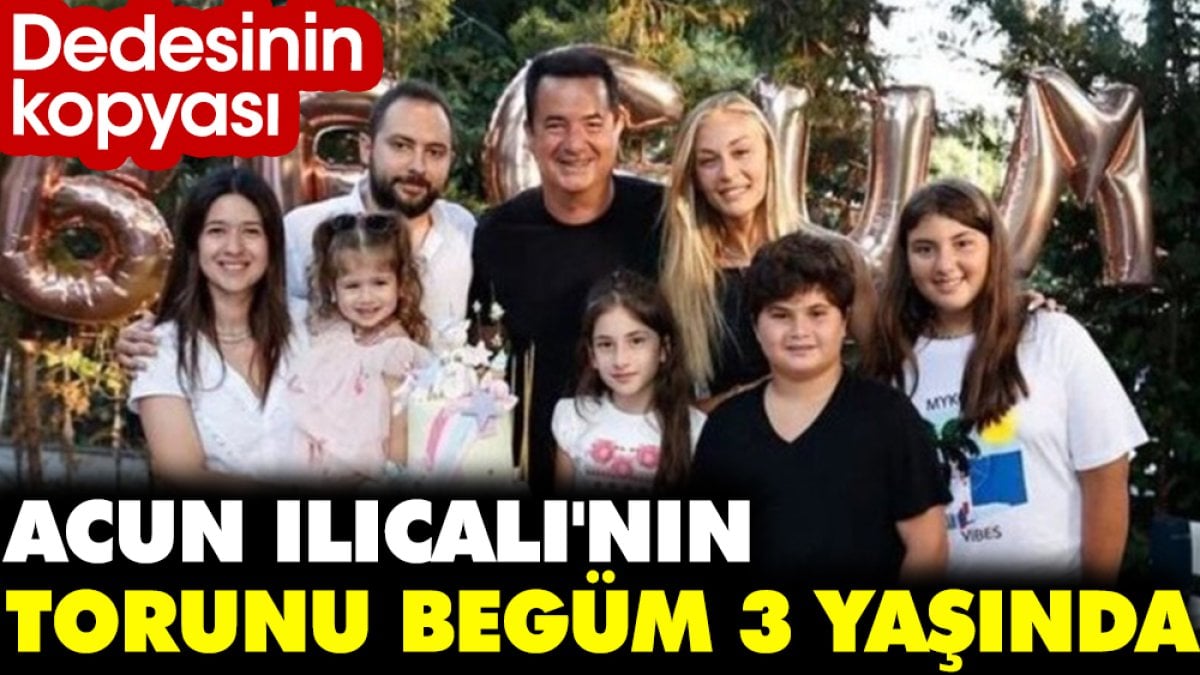 Acun Ilıcalı'nın torunu Begüm 3 yaşında. Dedesinin kopyası