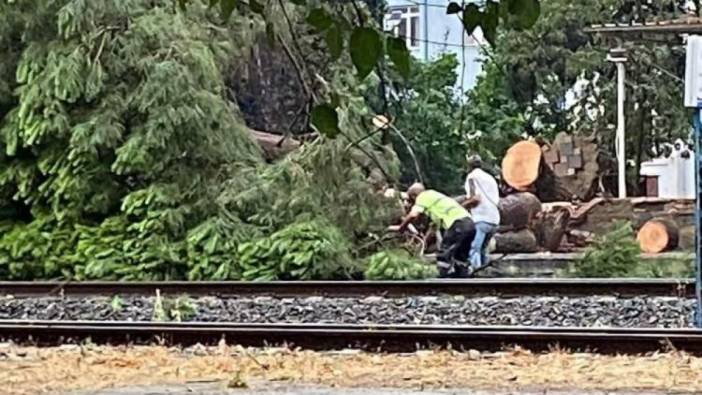 Aydın'da tren seferleri iptal edildi. Fırtına ağacı demiryoluna devirdi