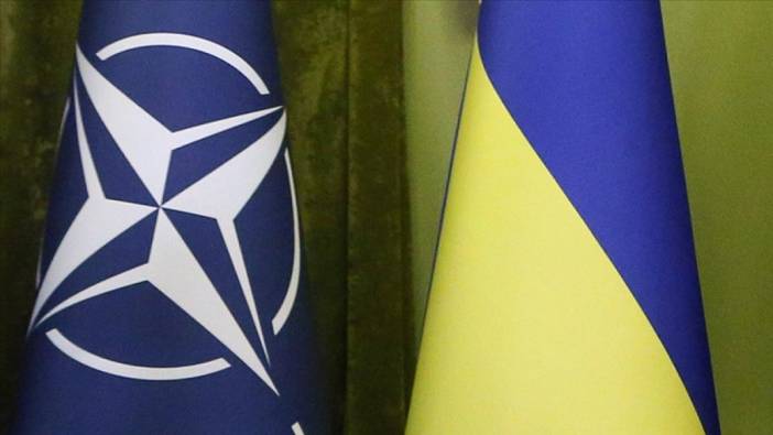 Almanya Ukrayna'nın NATO üyeliği için doğru zaman olmadığını düşünüyor
