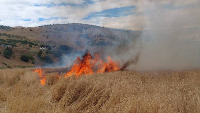 Tunceli'de buğday tarlasında yangın