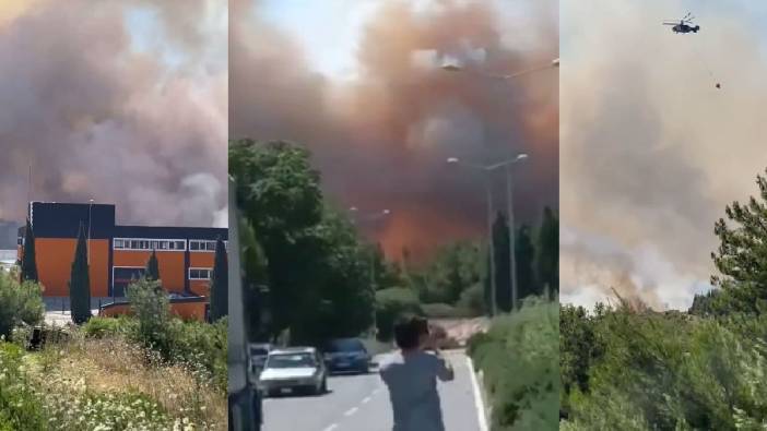 İzmir’deki orman yangını fabrikalara dayandı