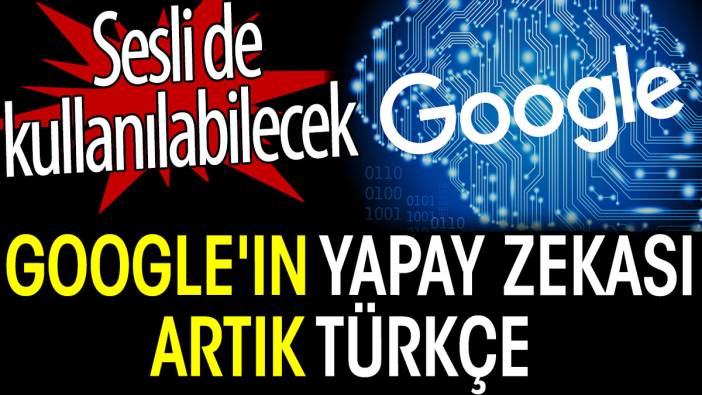 Google'ın yapay zekası artık Türkçe. Sesli de kullanılabilecek