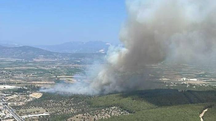 Milas-Bodrum Havalimanı yolundaki ormanlık alanda çıkan yangın kontrol altına alındı