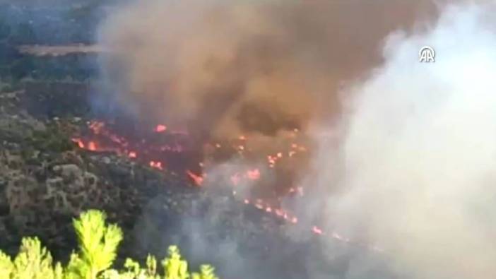 Mersin Gülnar'da orman yangını
