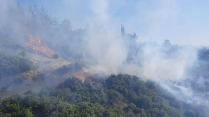 Tarlada başlayan yangın ormana sıçramıştı: Yangını kontrol altına alındı
