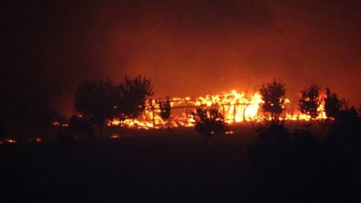 Çanakkale'de orman yangını büyüyor. Tahliyeler başladı
