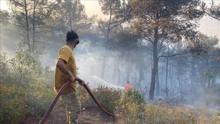 Orman yangınlarıyla ilgili 7 şüpheli gözaltına alındı