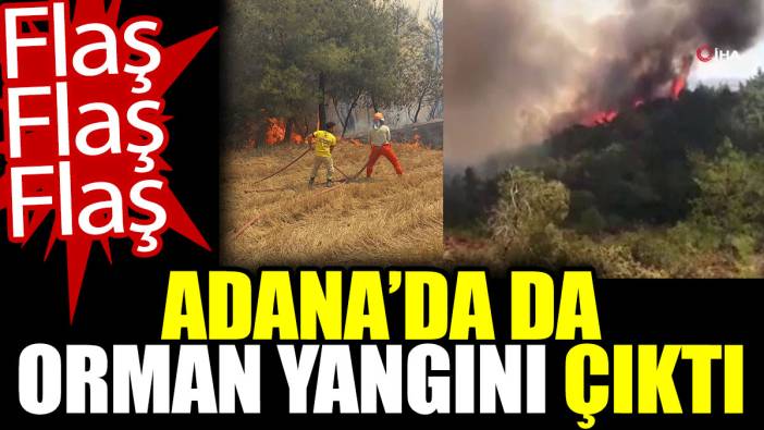 Adana'da da orman yangını çıktı