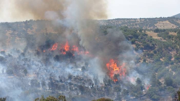 Çanakkale'nin Ayvacık ilçesinde orman yangını