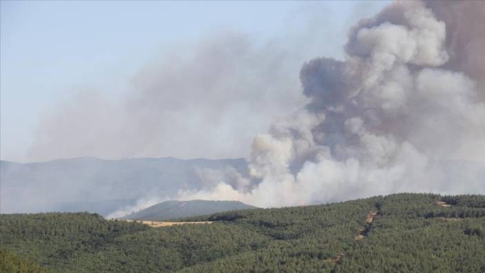 Tekirdağ Malkara'da orman yangını