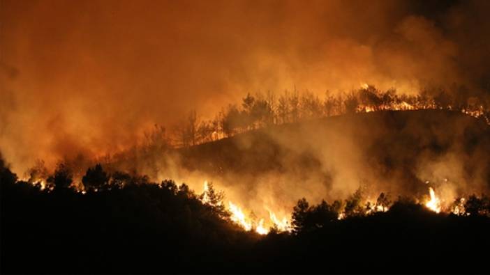 Hatay'daki orman yangınında yeni gelişme. Bir kişi tutuklandı
