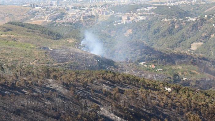 Hatay'daki orman yangını kontrol altına alındı