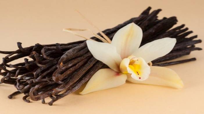 Vanilya bitkisi neye iyi geliyor?
