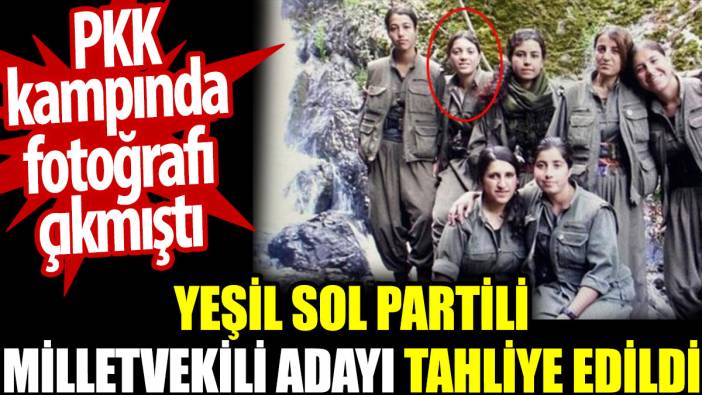 PKK kampında fotoğrafı çıkan milletvekili adayı tahliye edildi