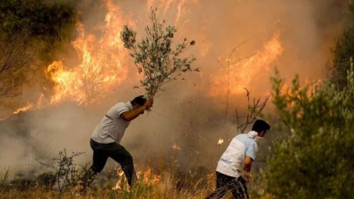 Astım ve KOAH hastalarına, ‘orman yangınları’ uyarısı