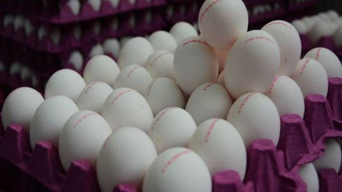 Türkiye'den giden yumurtalarda kanserojen madde bulundu