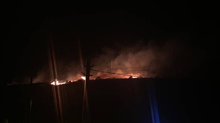 İzmir'in Çeşme ilçesinde orman yangını çıktı