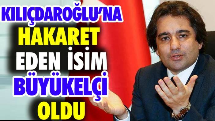 Kemal Kılıçdaroğlu'na hakaret eden isim Büyükelçi oldu