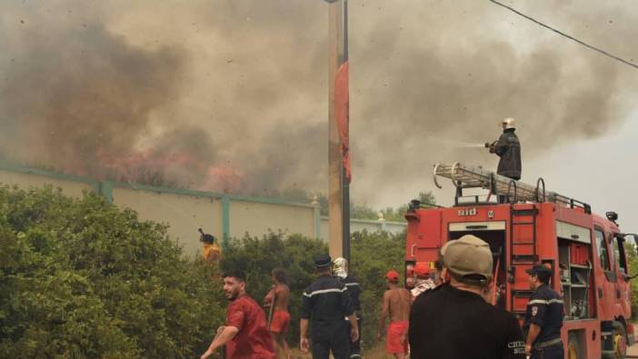 Cezayir'de orman yangınları 15 kişinin ölümüne sebep oldu