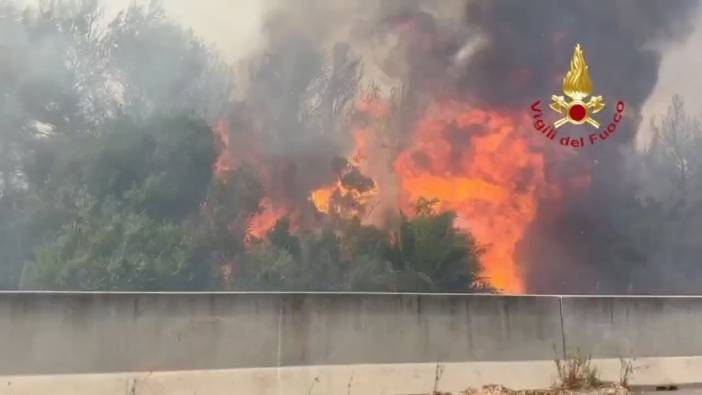 İtalya'nın güneyindeki orman yangınları nedeniyle 4 kişi öldü