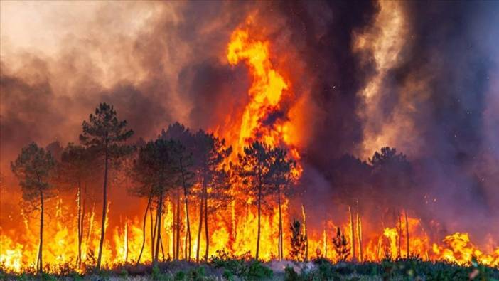 Fransa'nın Korsika Adası'ndaki yangında 200 hektarlık alan kül oldu