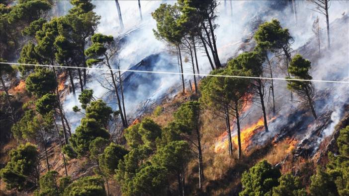 İtalya'da orman yangınlarını söndürme çalışmaları devam ediyor