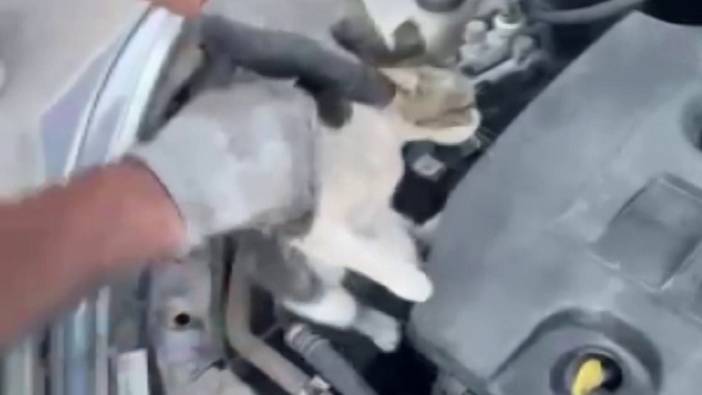 Aracın motor kısmında mahsur kaldı itfaiye kurtardı