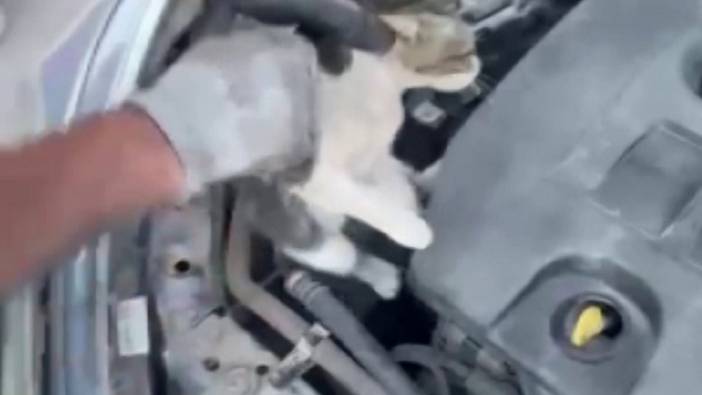 Aracın motorunda mahsur kalan kediyi itfaiye kurtardı