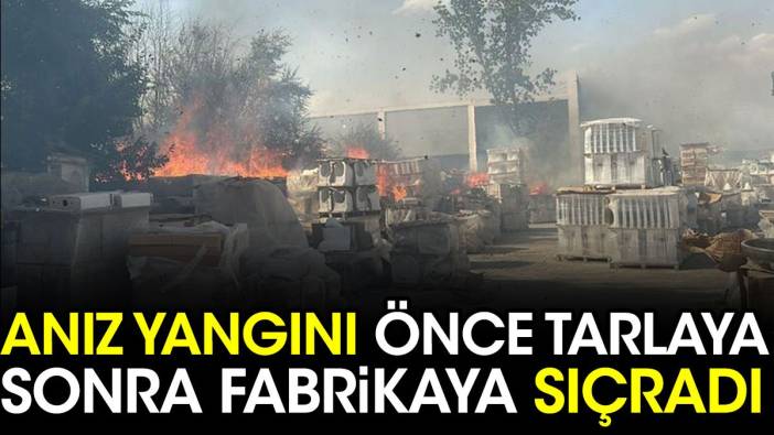 Anız yangını, tarla ile fabrikaya sıçradı; Eskişehir-Kütahya yolu trafiğe kapatıldı