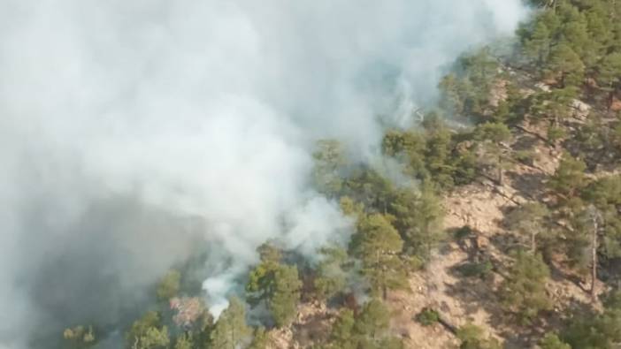 Bolu'da orman yangını. İstanbul ve Bursa'dan destek geldi