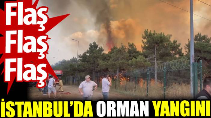 İstanbul Sultangazi'de orman yangını
