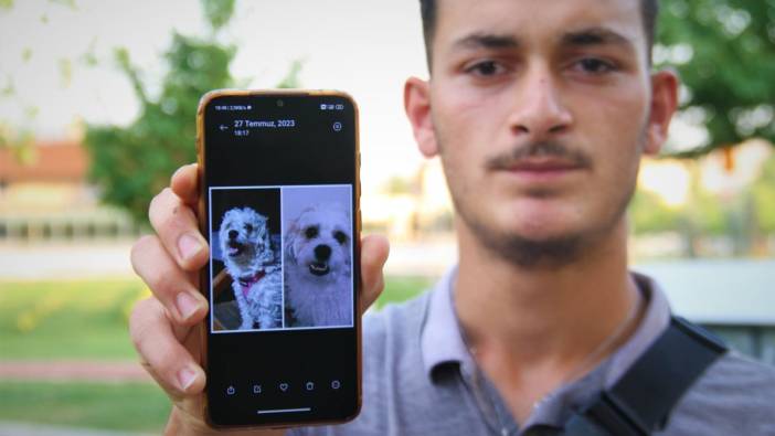 Elazığ'da sokak sokak kaybolan köpeğini arıyor