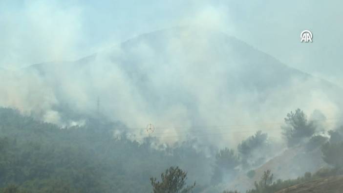 İzmir Urla'da alev alan otomobil orman yangınına yol açtı