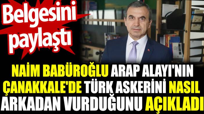 Naim Babüroğlu Arap Alayı'nın Çanakkale'de Türk askerini nasıl arkadan vurduğunu açıkladı