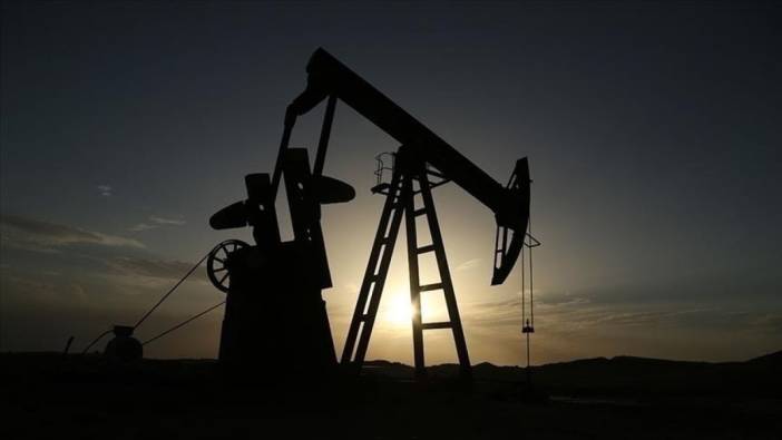 Cezayir'den kritik petrol açıklaması