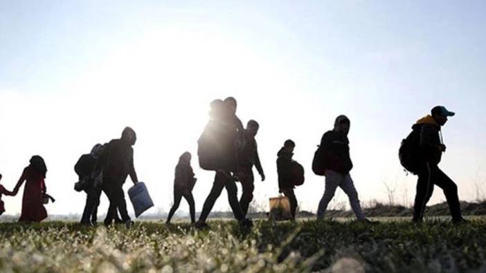 Edirne’de 55 kaçak göçmen yakalandı