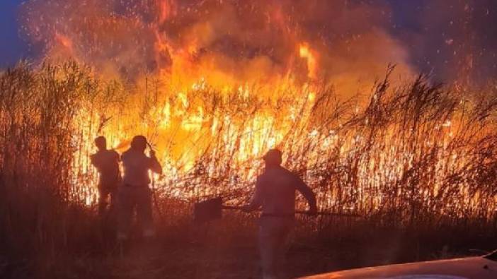 Siirt'te sazlıkta çıkan yangın, tarım arazilerine sıçramadan söndürüldü