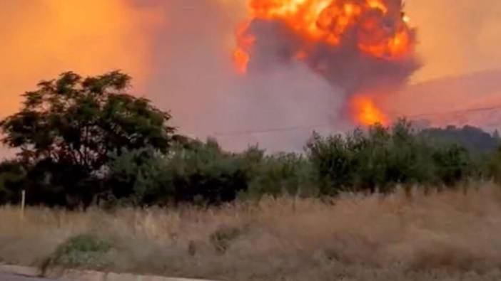 Yunanistan'da orman yangını çıkaran yüzlerce kişi tutuklandı