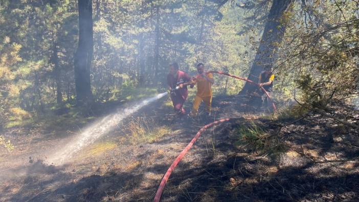 Bolu’da orman yangını büyümeden söndürüldü