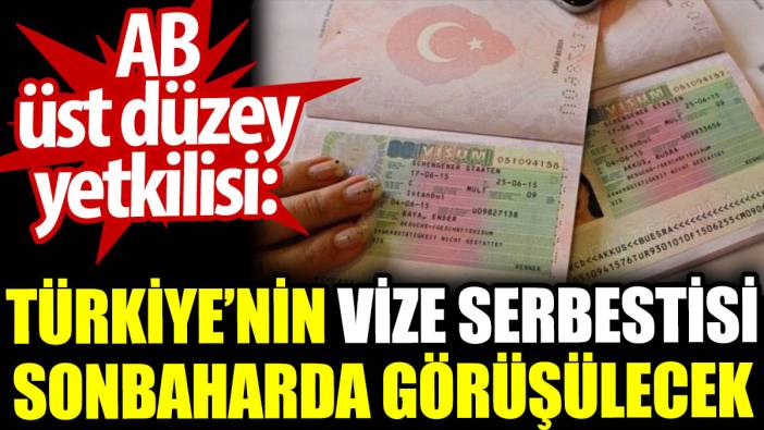 AB üst düzey yetkilisi: Türkiye’nin vize serbestisi sonbaharda görüşülecek