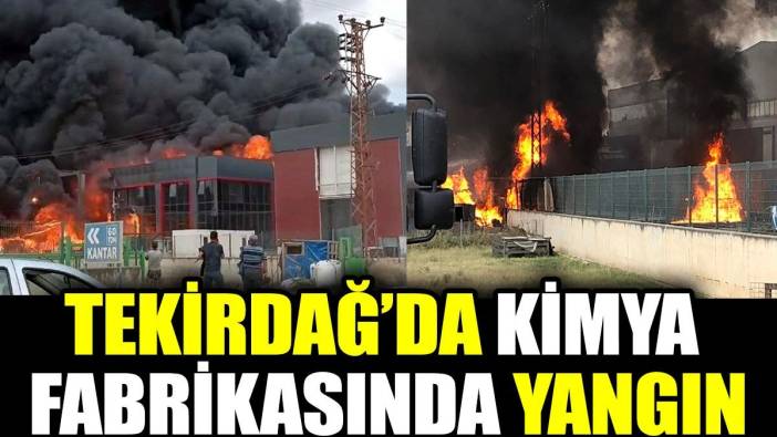 Tekirdağ’da kimya fabrikasında yangın