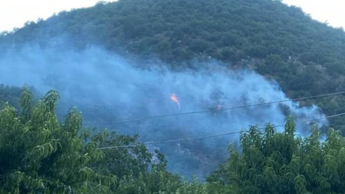 Kastamonu'da ormanlık alanda çıkan yangın kontrol altına alındı