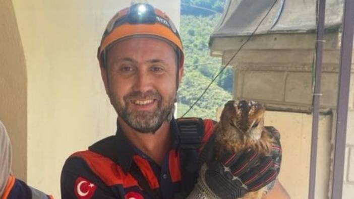 Giresun'da minarede mahsur kalan yavru baykuş 2 ay sonra kurtarıldı