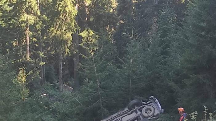 Ağaç yamaçtan yuvarlandı kamyonete çarptı: 1 ölü, 1 yaralı