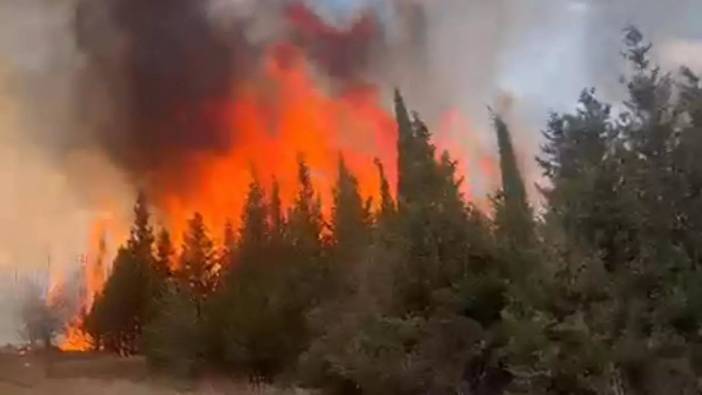 Trakya'da 7 ayda 126 hektar ormanlık alan yangınlarda zarar gördü