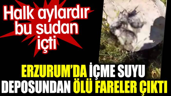 Erzurum'da içme suyu deposundan ölü fareler çıktı