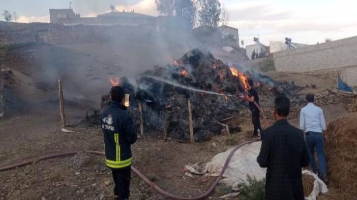 Van Saray'da 8 bin bağ ot yandı