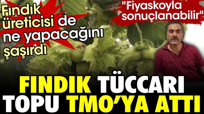 Erdoğan'ın açıkladığı fındık  fiyatlarından sonra tüccar topu TMO'ya attı