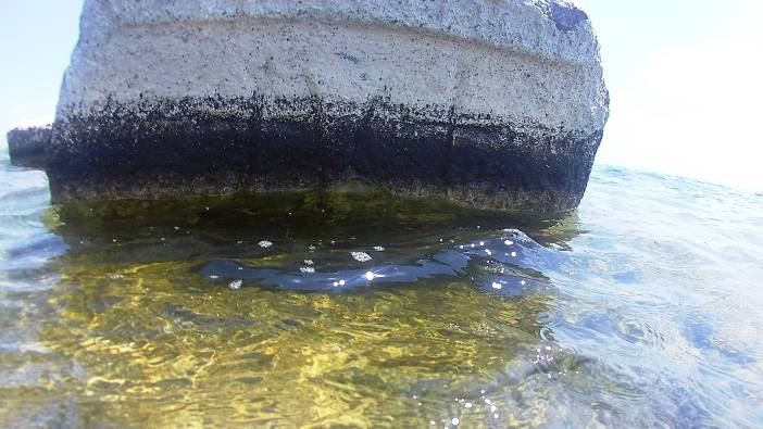 Van Gölü'nde Kayı tamgalı ve haç işaretli taşlar bulundu: Nuh Tufanı’nı kanıtladık